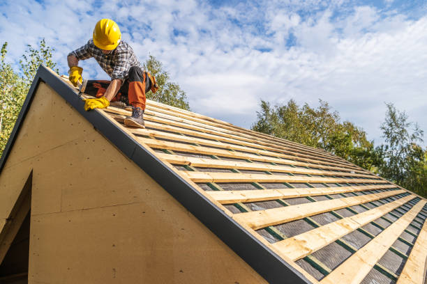 Best Roof Gutter Cleaning  in Saline, MI