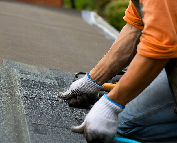 Best Metal Roofing Contractor  in Saline, MI