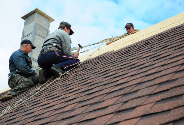 Best Affordable Roofing Company  in Saline, MI