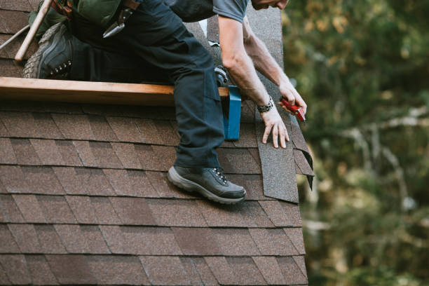 Best Roof Waterproofing Services  in Saline, MI