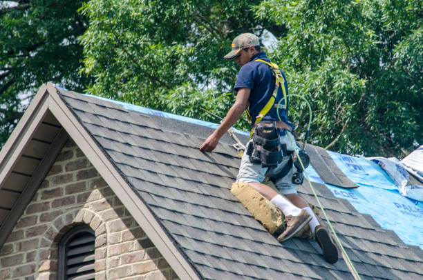Best Roof Installation Near Me  in Saline, MI